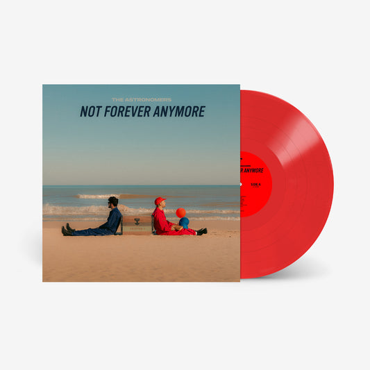 Not Forever Anymore Vinyl